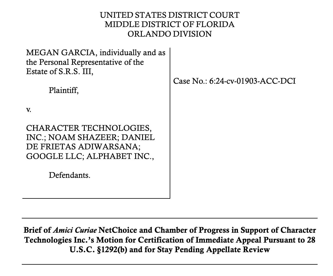 NetChoice Amicus Brief Asking U.S. District Court in Garcia v ...