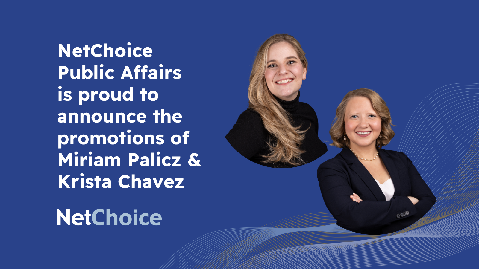 Netchoice Logo NetChoice Announces Public Affairs Promotions of Miriam Palicz and ...
