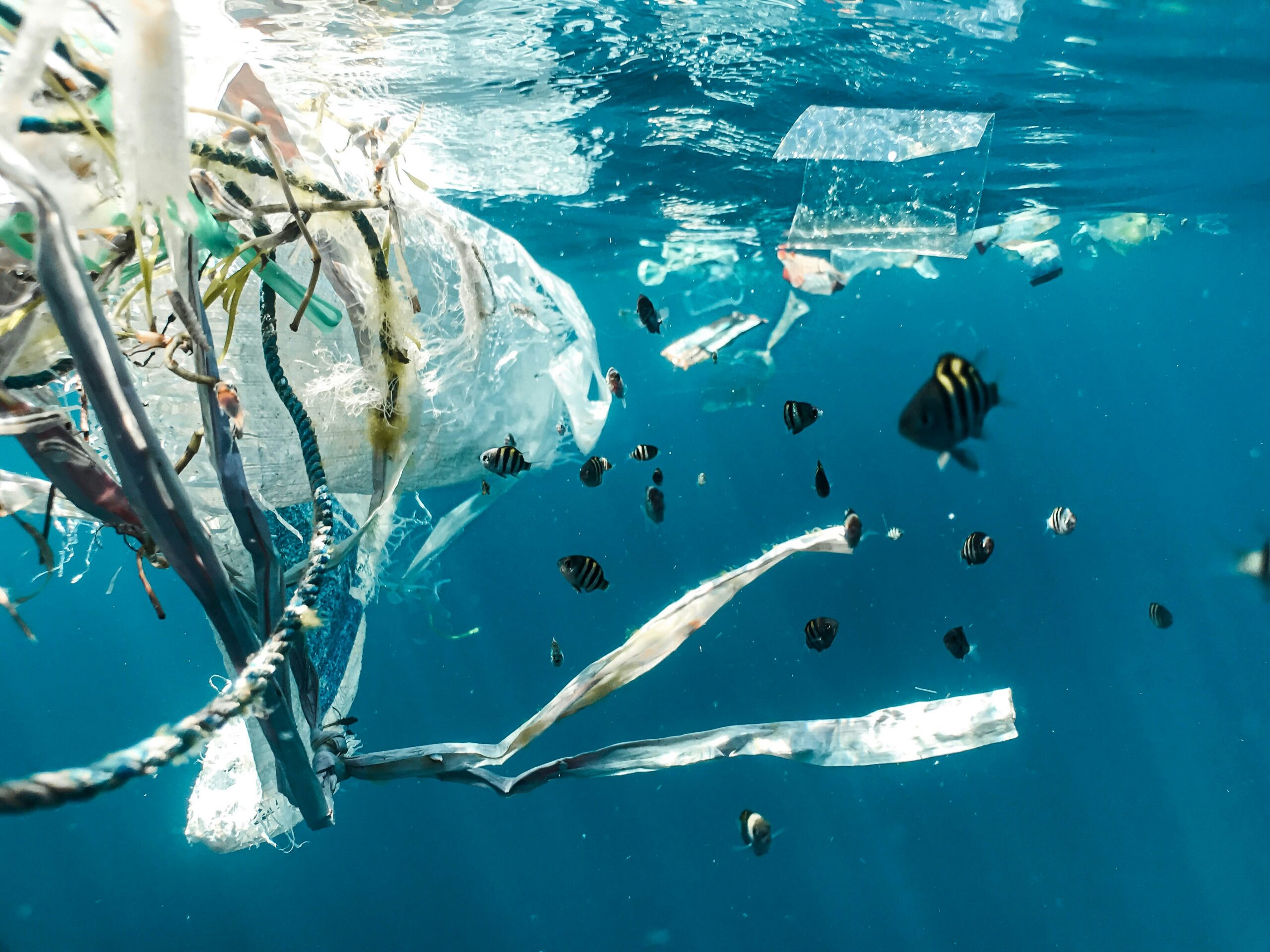 The Transformative Power of AI: Turning the Tide on Ocean Cleanup